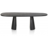Arawood 210 x 120cm Teardrop Dining Table (Black) by Habufa