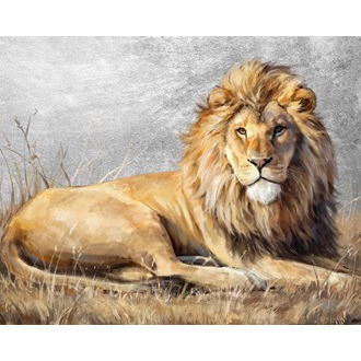 Canvas Oil Laying Lion 80x100cm