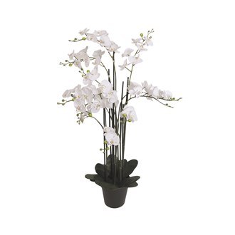 Decor Orchid 115cms