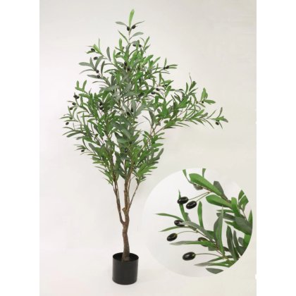 150cm Olive Tree