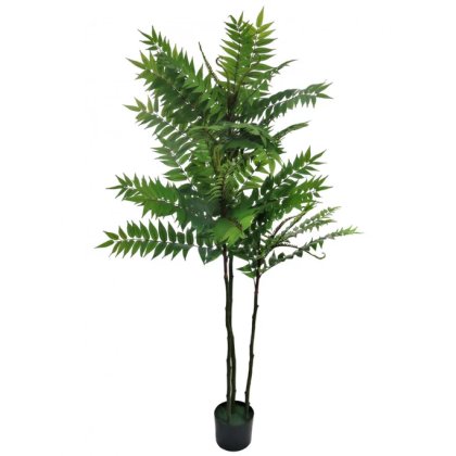 Fern Tree 170cm
