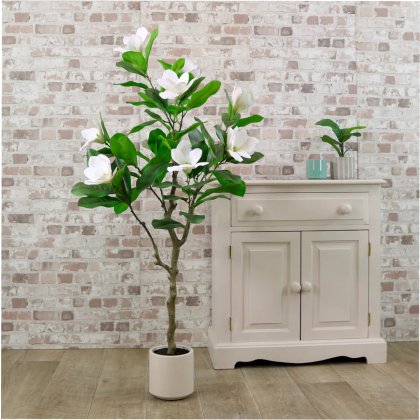 Potted Magnolia Tree Cream 125cm