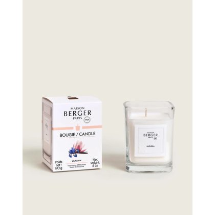 Liliflora Scented Candle Liliflora Scented Candle
