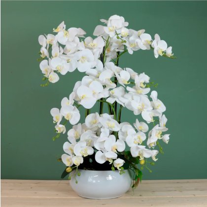 Grand Eternelle Luxe Orchid Arrangement Grand Eternelle Luxe Orchid Arrangement