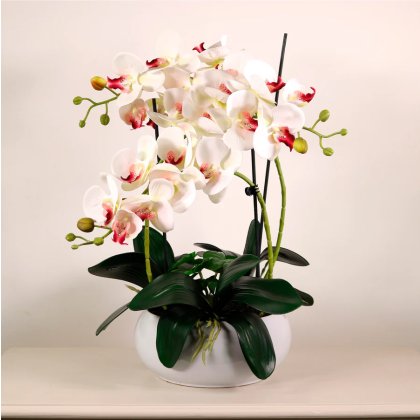 Luxury Faux Orchid Arrangement No1 - Cotton Kiss Luxury Faux Orchid Arrangement No1 - Cotton Kiss