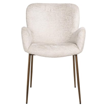 Dining Chair Amber Cream Fusion by Richmond Interiors Dining Chair Amber Cream Fusion by Richmond Interiors