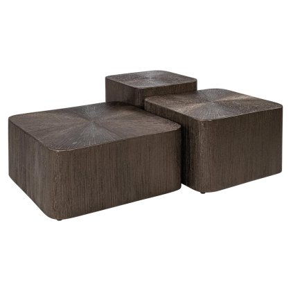 Coffee Table Cubes Brunzae (Set of 3) by Richmond Interiors