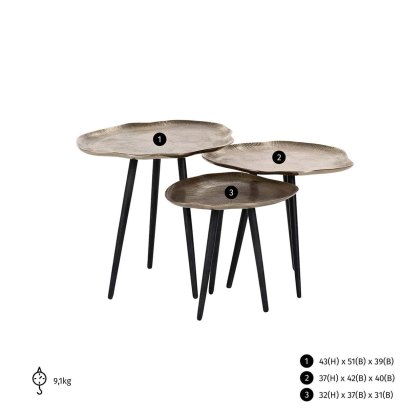 Coffee Table Volenta Champagne Gold (Set of 3) by Richmond Interiors Coffee Table Volenta Champagne Gold (Set of 3) by Richmond Interiors