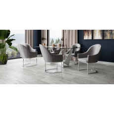 Viola Silver Grey Velvet Dining Chairs (Set of 2)