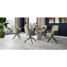 Javier Dark Grey Velvet Swivel Dining Chairs (Set of 2)