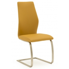 Pair of Irma Dining Chairs (Pumpkin & Brushed Steel)