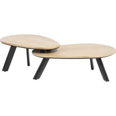 Homestead Set of 2 Coffee Tables by Habufa