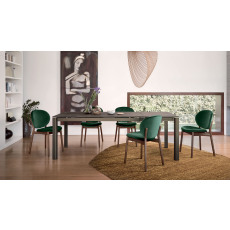 Pair of Inès Dining Chairs (CS2079) by Calligaris