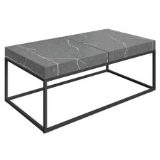 Delina Coffee Table