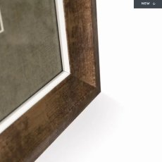 Dapper Highlander Dapper Highlander