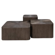 Brunzae Cubes Coffee Table (Set of 3) by Richmond Interiors