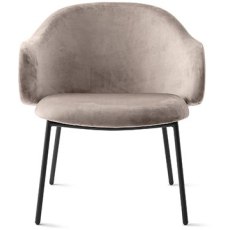 Holly Dining Armchair (CS3417 1300) by Calligaris Holly Dining Armchair (CS3417 1300) by Calligaris