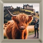 Highland Cow AN1111 Highland Cow AN1111
