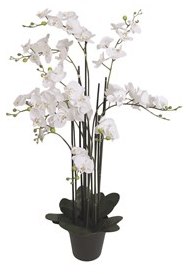 Decor Orchid 115cms Decor Orchid 115cms