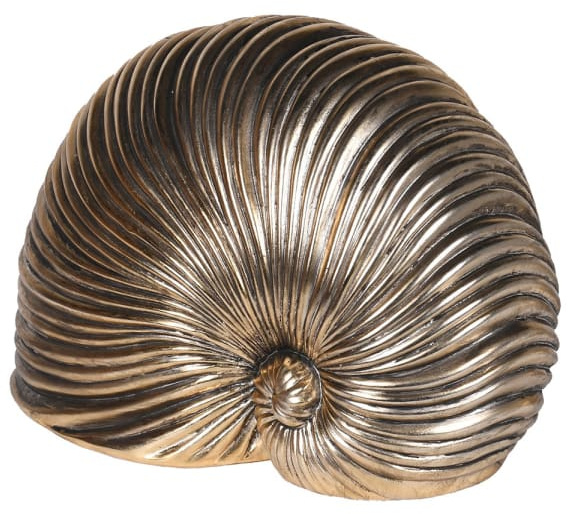 Gold Sea Snail Deco Gold Sea Snail Deco