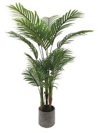 Potted Palm Tree 130cm Potted Palm Tree 130cm