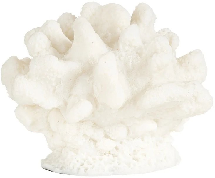 Faux coral Mare (White) Faux coral Mare (White)