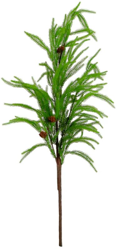 Weeping Pine Spray Weeping Pine Spray
