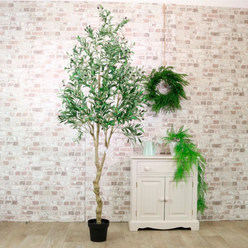 Olive Tree No. 1 180cm Olive Tree No. 1 180cm