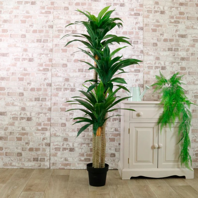 Potted Yucca Tree 160cm Potted Yucca Tree 160cm