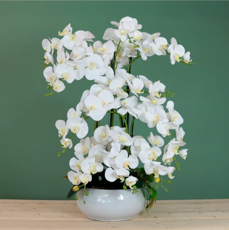 Grand Eternelle Luxe Orchid Arrangement Grand Eternelle Luxe Orchid Arrangement