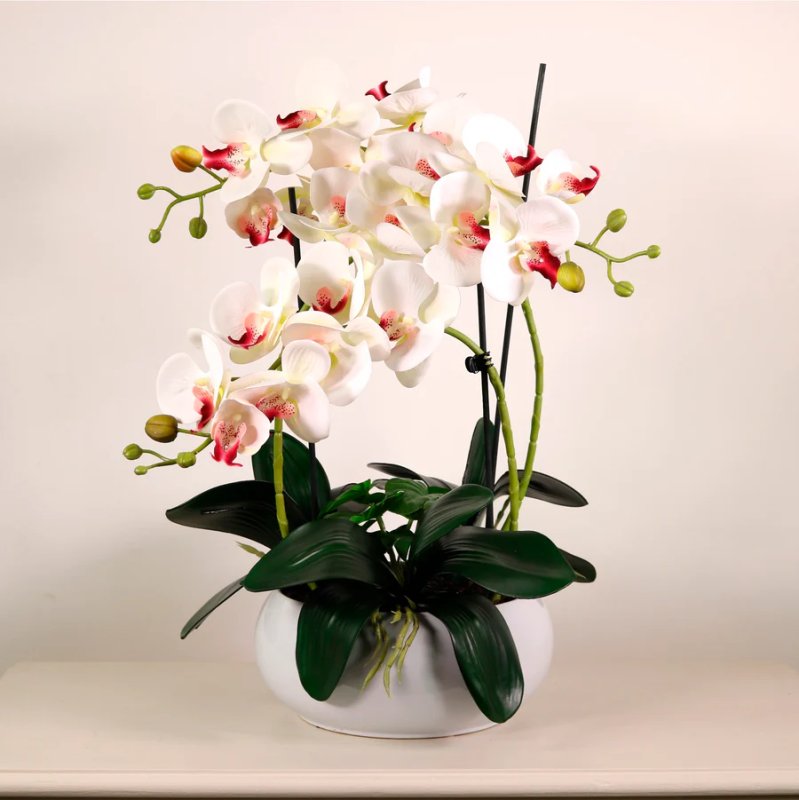 Luxury Faux Orchid Arrangement No1 - Cotton Kiss Luxury Faux Orchid Arrangement No1 - Cotton Kiss