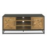 Indus Entertainment Unit