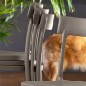 Set of 4 Argo Outdoor Chairs (CB1523) from Connubia by Calligaris Set of 4 Argo Outdoor Chairs (CB1523) from Connubia by Calligaris