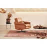 Aura Electric Recliner Chair (Model 8916-23E) by Himolla