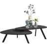 Livada Set of 2 Coffee Tables by Habufa