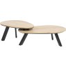 Homestead Set of 2 Coffee Tables by Habufa