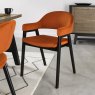 Regent Peppercorn Dining Armchairs (Rust Velvet) by Bentley Designs