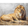 Canvas Oil Laying Lion 80x100cm