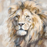 Canvas Oil Lion 80x80cm