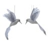 Birds with Glitter