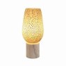 Luna Tulip Lamp Luna Tulip Lamp