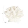 Faux coral Mare (White) Faux coral Mare (White)
