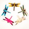 Rainbow Dragonfly Large Rainbow Dragonfly Large