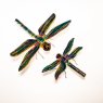 Rainbow Dragonfly Large Rainbow Dragonfly Large