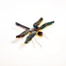 Rainbow Dragonfly Small Rainbow Dragonfly Small