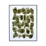 62x82 Framed Abstract Canvas Green