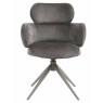 Apol Dining Chair (Charcoal) Apol Dining Chair (Charcoal)