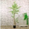 Potted French Ficus Spray Tree 180cm