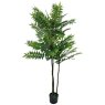 Fern Tree 170cm