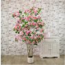 Potted Wild Bougainvillea Tree Pink 170cm
